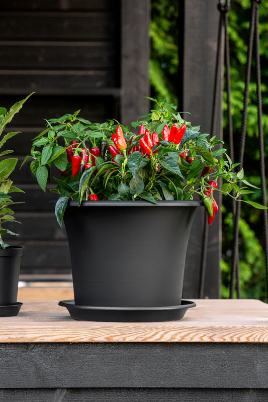 Orthex - Botanica plantekrukke Ø30 cm Recycled sort