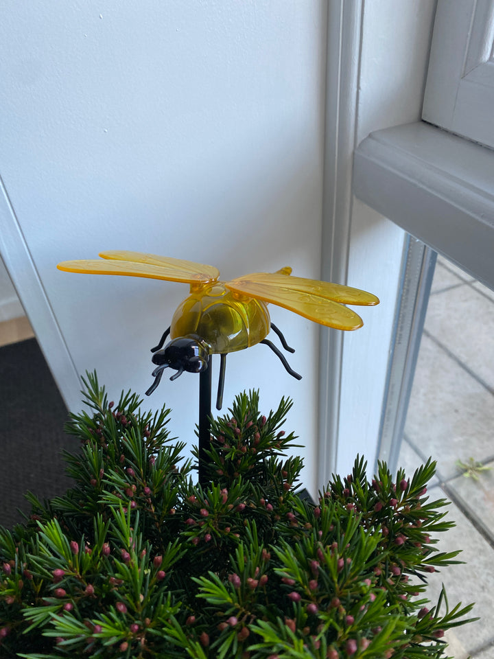 Conzept - solguldsmed 17 x 14,5 x 34 cm