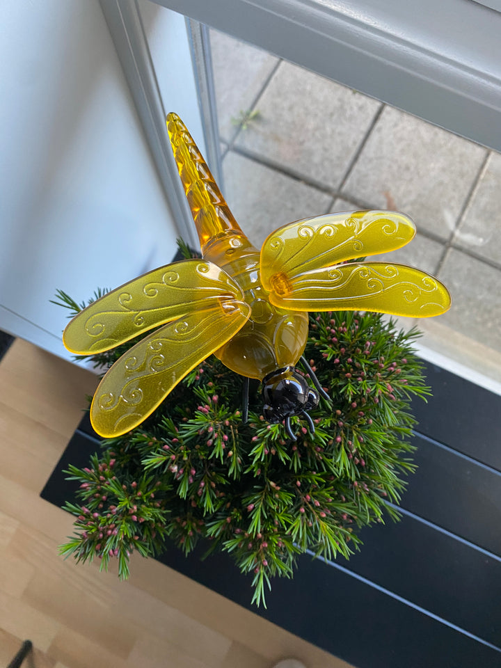 Conzept - solguldsmed 17 x 14,5 x 34 cm