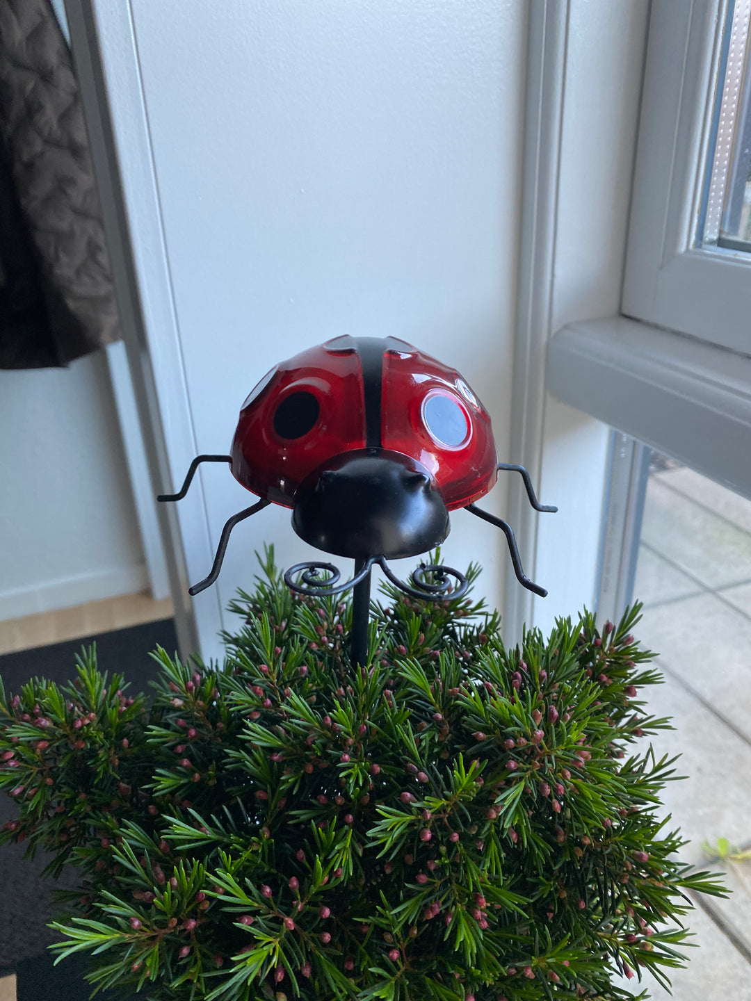 Conzept - solnyckelpiga 14,8 x 14,2 x 31 cm