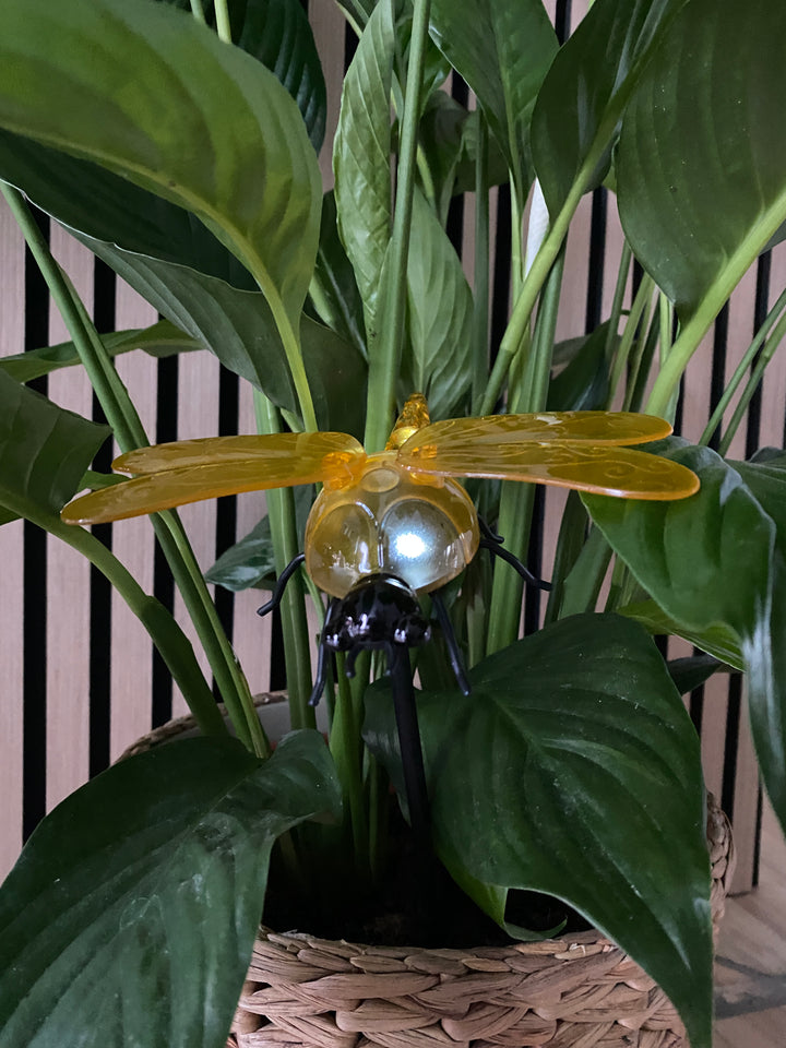 Conzept - solguldsmed 17 x 14,5 x 34 cm