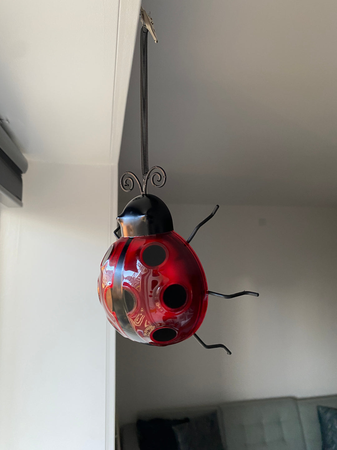 Conzept - solnyckelpiga 14,8 x 14,2 x 31 cm