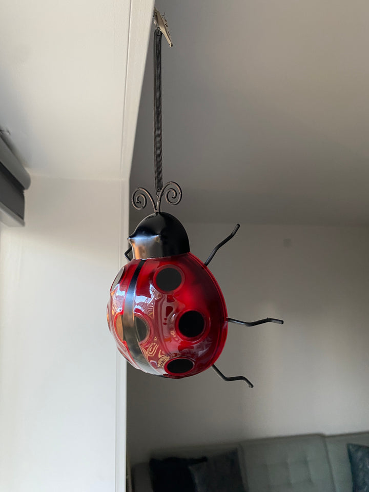 Conzept - solnyckelpiga 14,8 x 14,2 x 31 cm