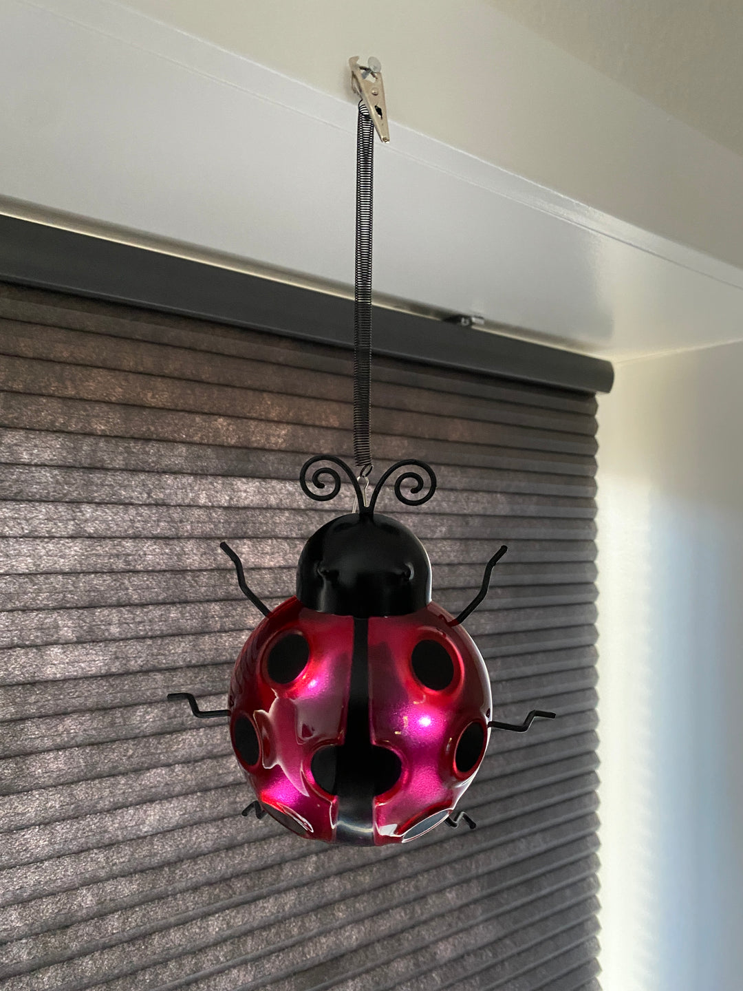 Conzept - solnyckelpiga 14,8 x 14,2 x 31 cm