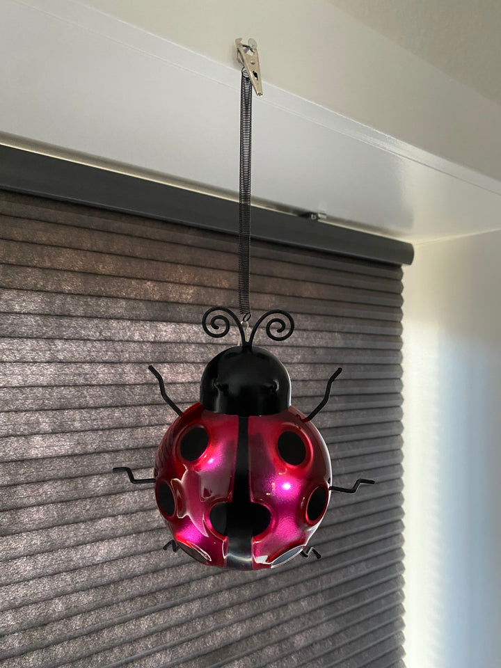 Conzept - solnyckelpiga 14,8 x 14,2 x 31 cm