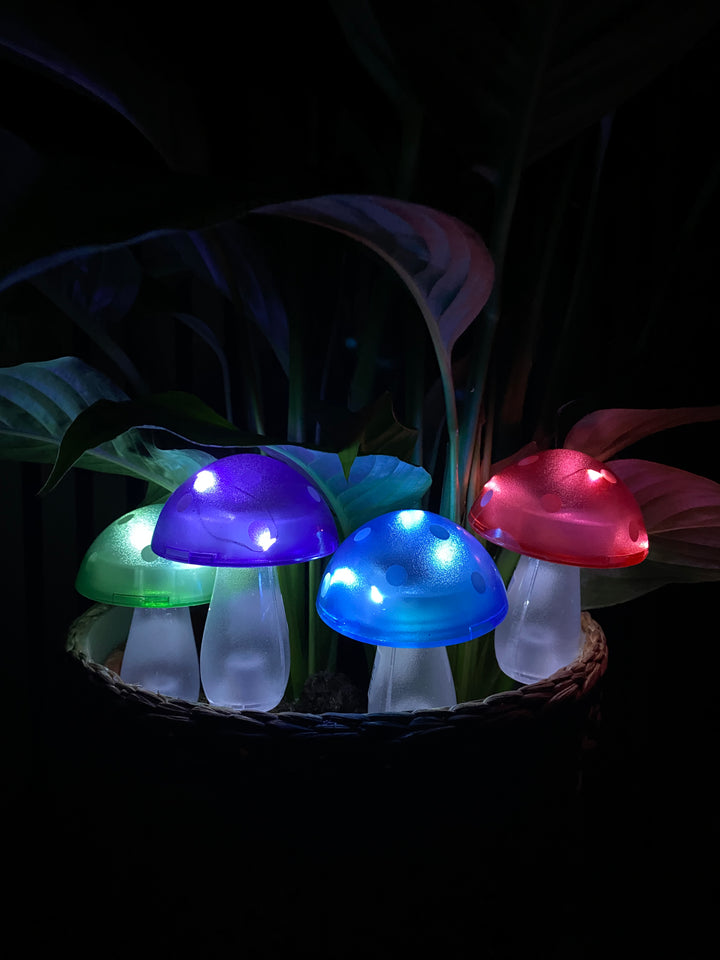 Conzept - solsvamp 7,8x7,8x20 cm 4 ass. färger