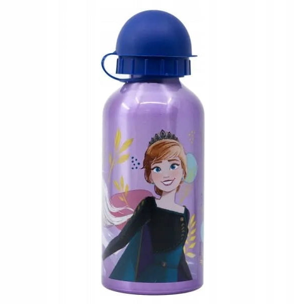 Dricksflaska med fryst 400 ml