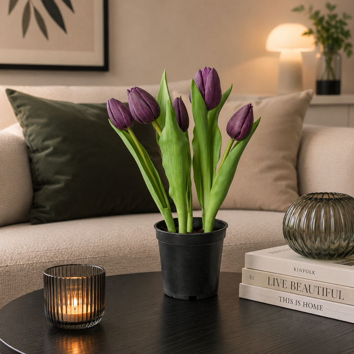 Tulipaner 5 stk. i potte 25 cm lilla