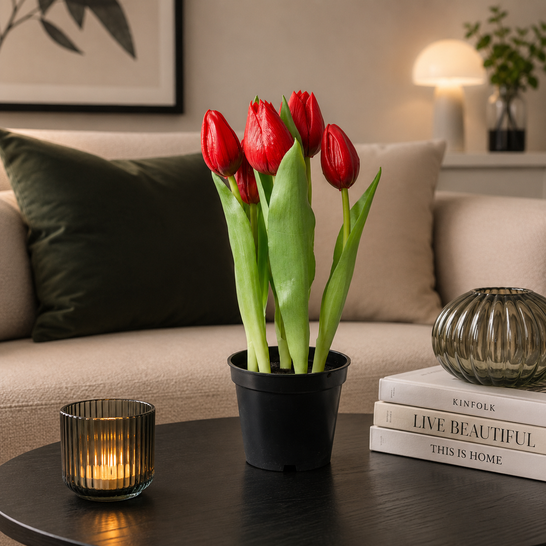 Tulipaner 5 stk. i potte 25 cm rød