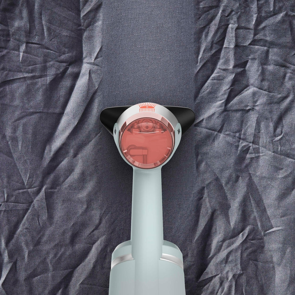 Tefal - Tøjdamper Aerosteam Eucalyptus