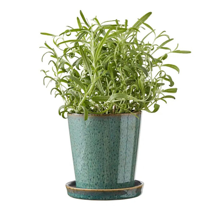 Bitz - Urtepotte skjuler 10cm Grøn/sort