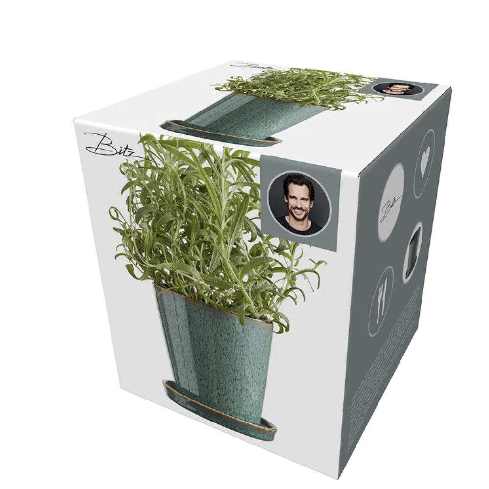 Bitz - Urtepotte skjuler 10cm Grøn/sort