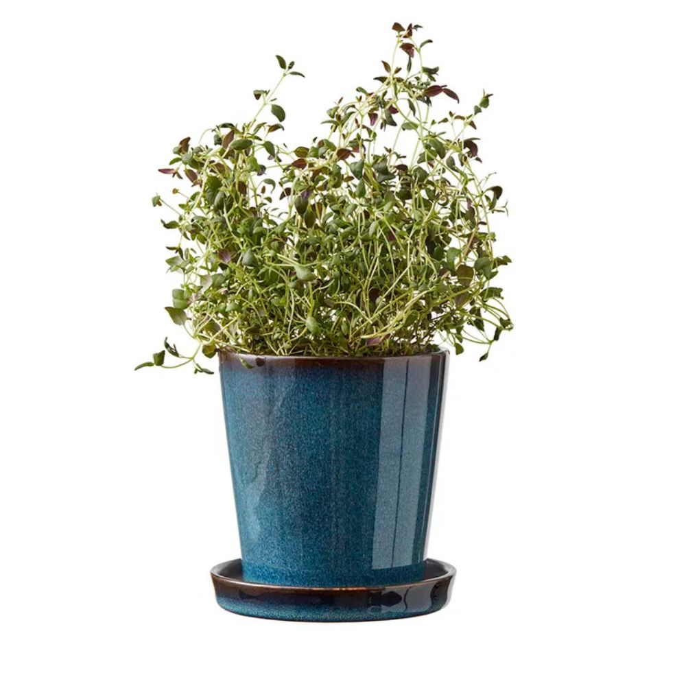 Bitz - Urtepotte skjuler 10cm blå/sort