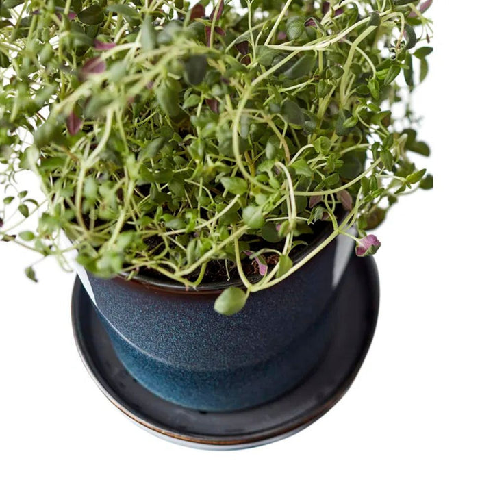 Bitz - Urtepotte skjuler 10cm blå/sort