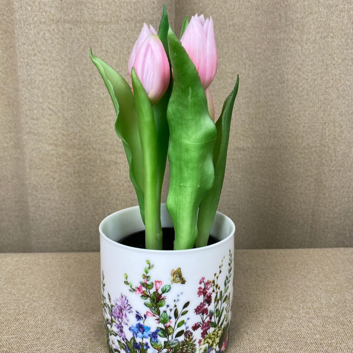 Tulipaner 5 stk. i potte 25 cm rosa