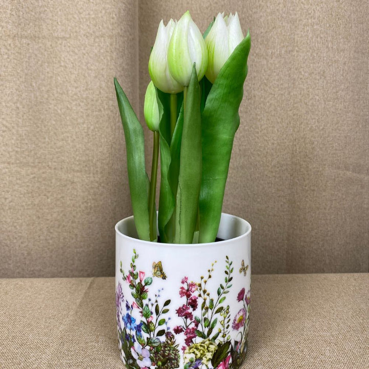 Tulipaner 5 stk. i potte 25 cm - hvid