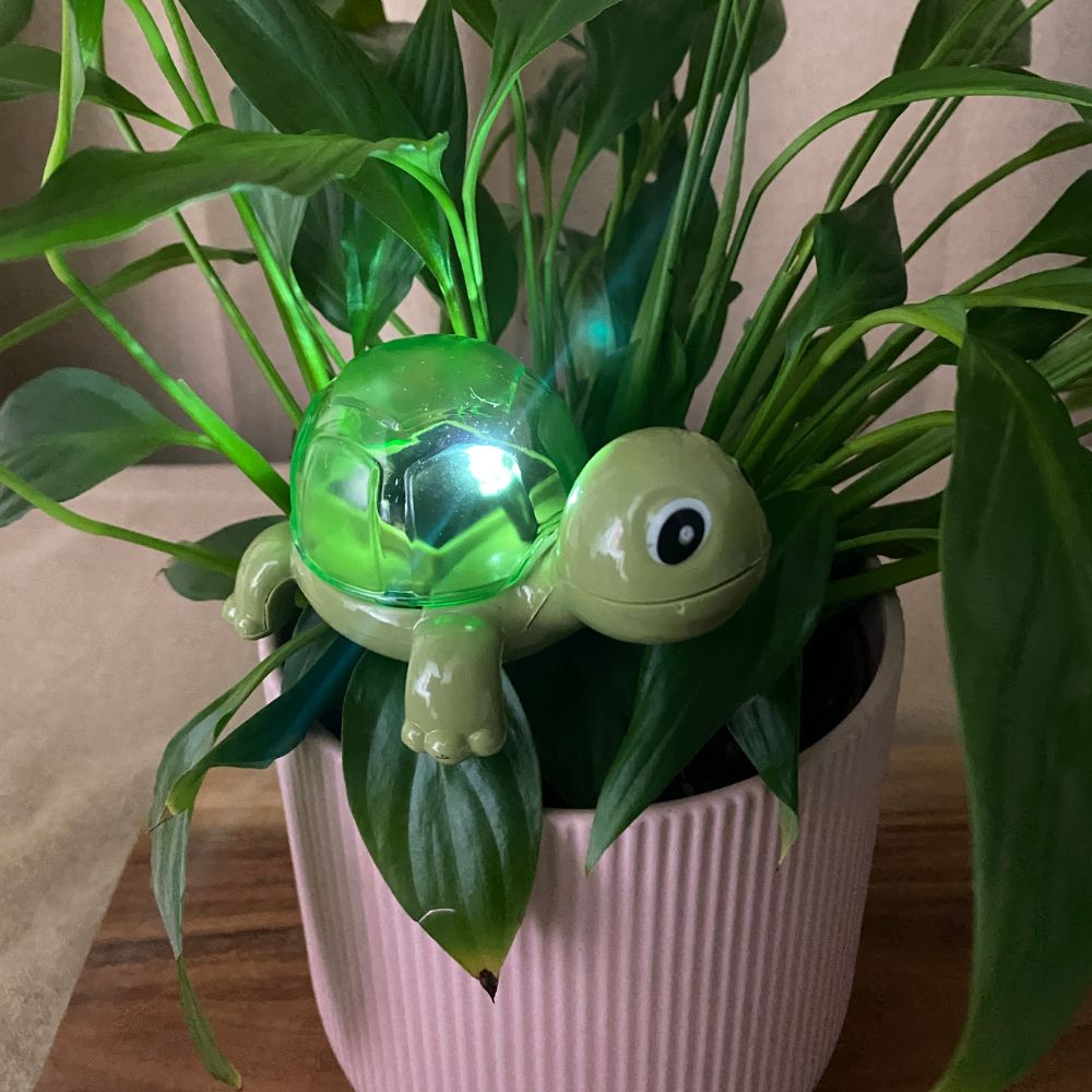 Conzept - Solarlampe - 4 assorteret varianter