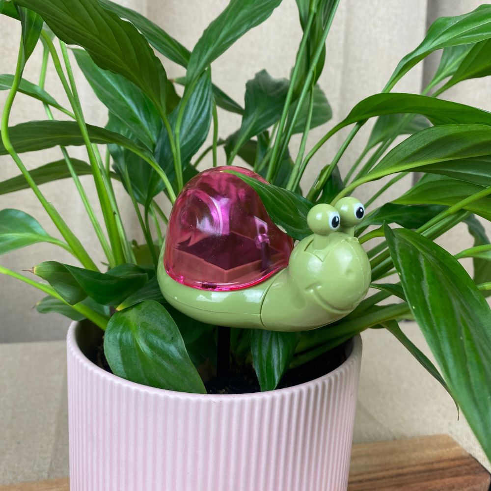 Conzept - Solarlampe - 4 assorteret varianter