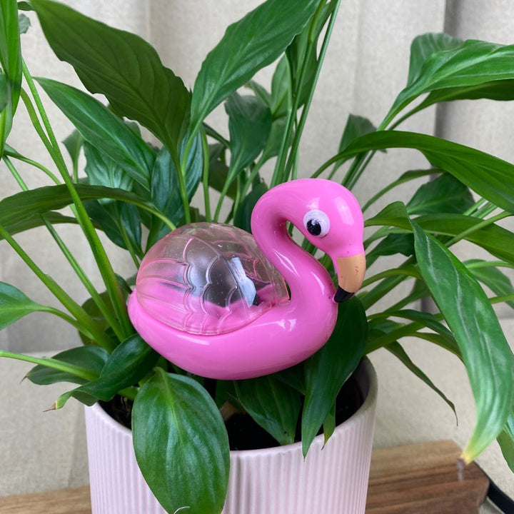 Conzept - Solarlampe - 4 assorteret varianter