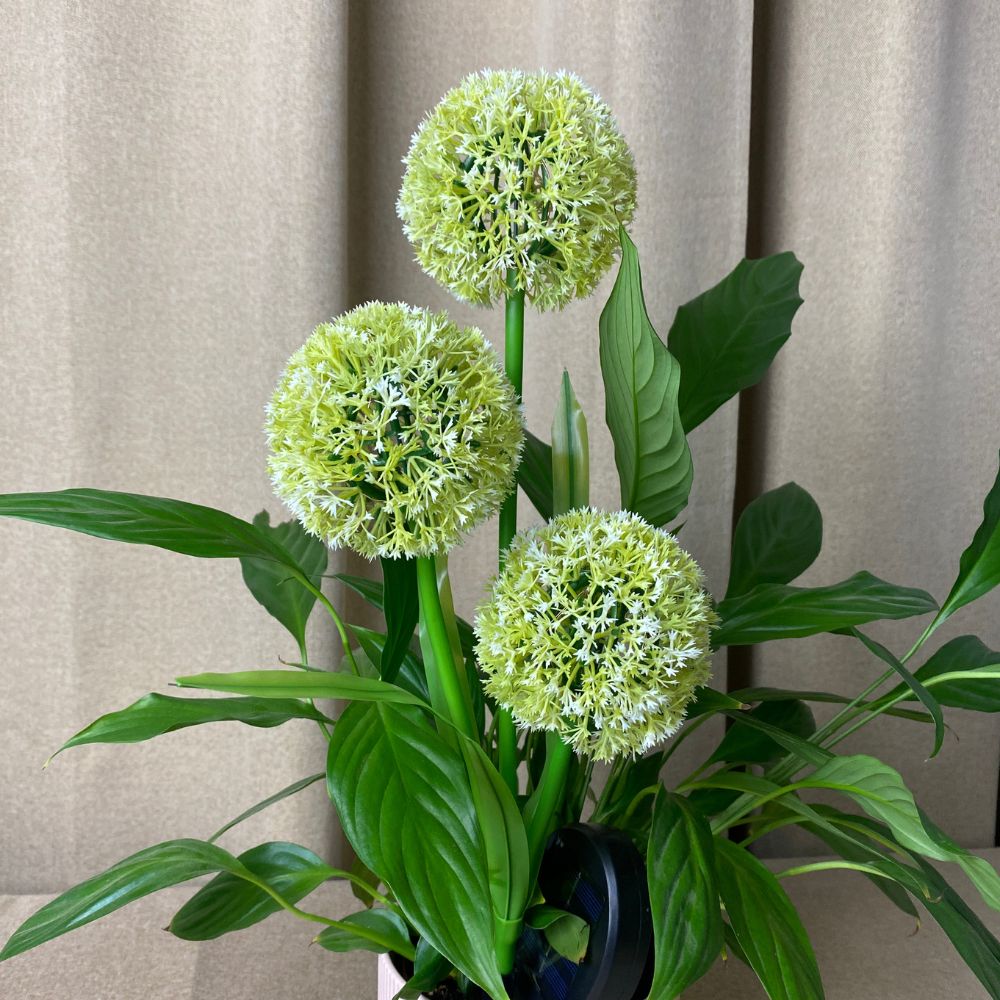 Conzept - Solar Allium 71 cm 36 LED