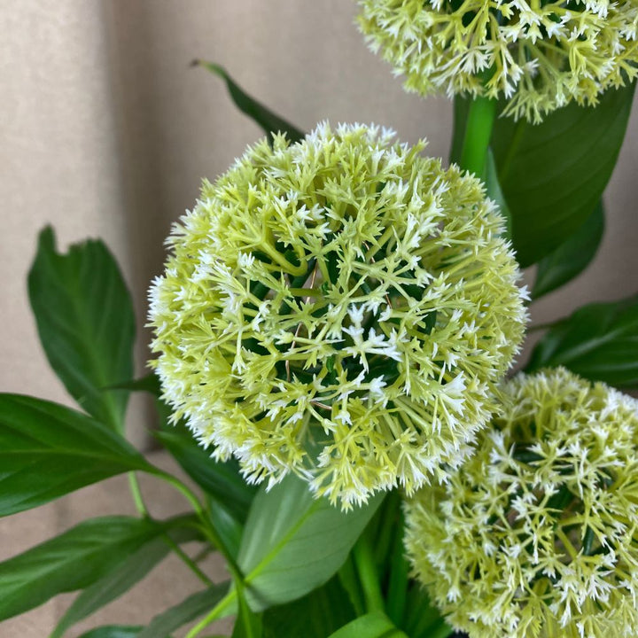 Conzept - Solar Allium 71 cm 36 LED