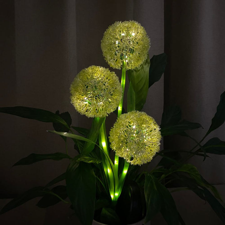 Conzept - Solar Allium 71 cm 36 LED