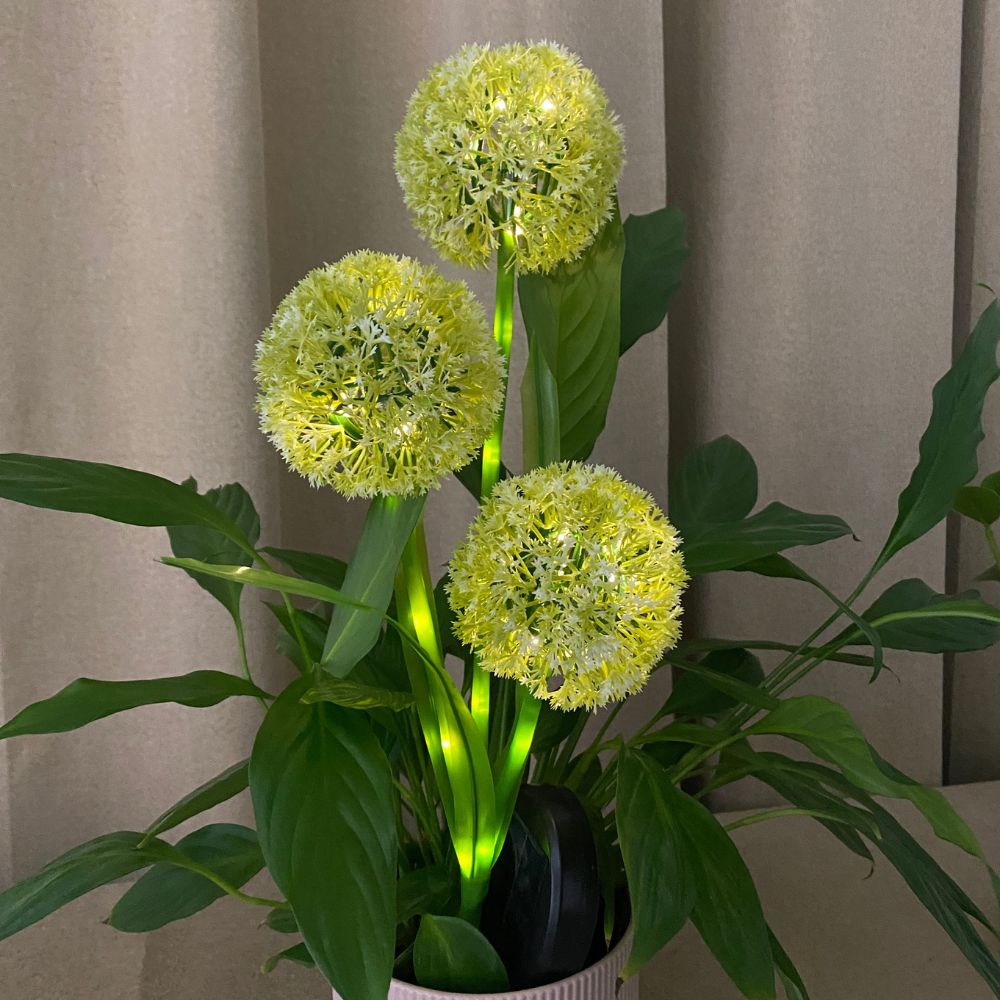 Conzept - Solar Allium 71 cm 36 LED