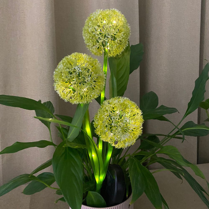 Conzept - Solar Allium 71 cm 36 LED