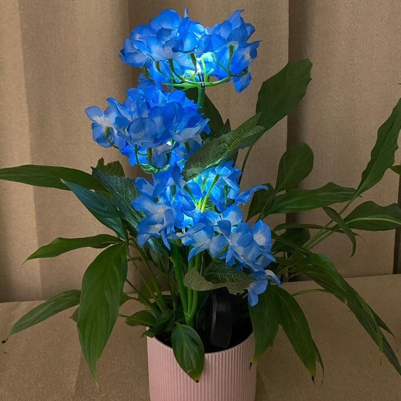 Conzept solarblomst hortensia 70x45 cm 2 stk.