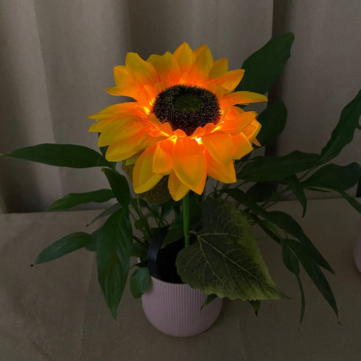 Conzept - Solblomma solros 75x46 cm 2 st.