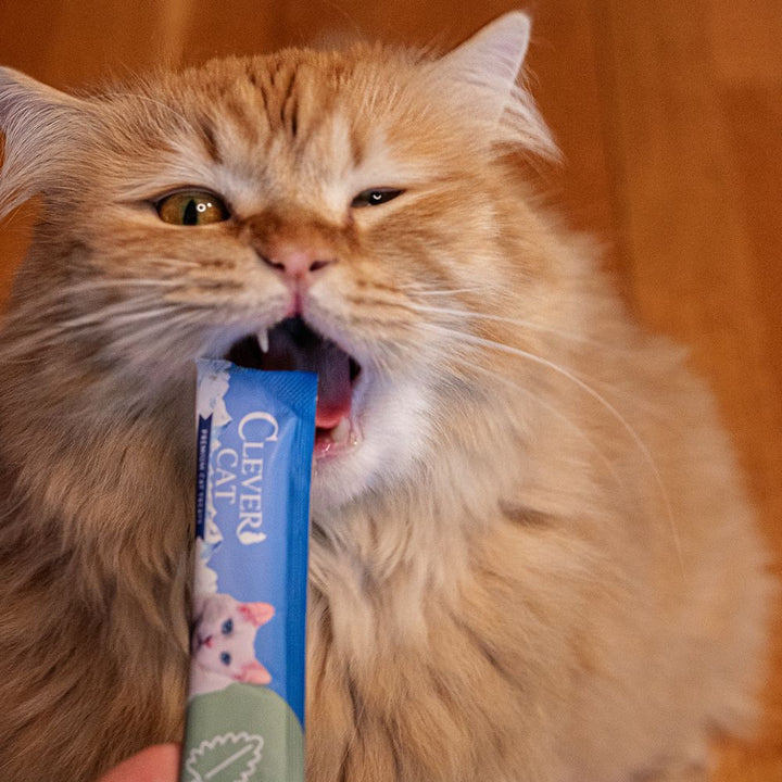 Clever Cat - Flytande godbit 4 st. - olika smaker