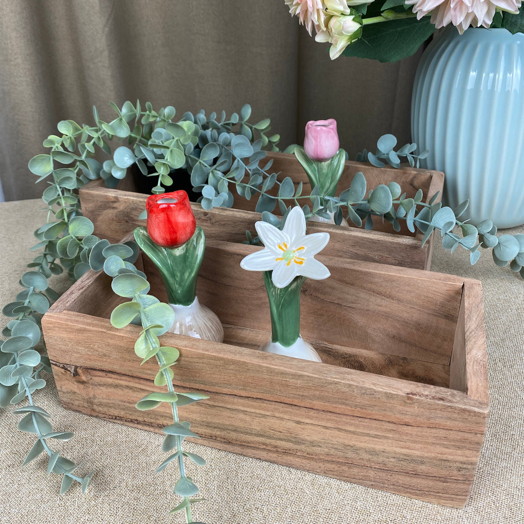 Aska i akaciaträ - 2 st.