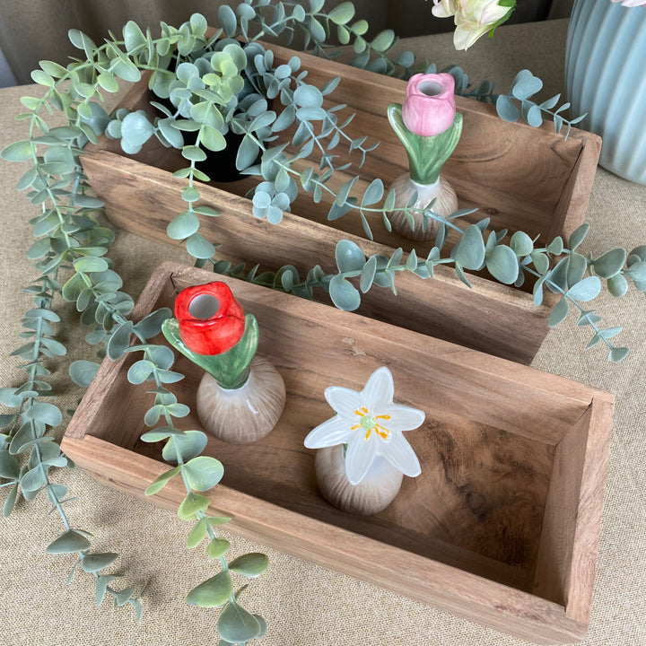 Aska i akaciaträ - 2 st.