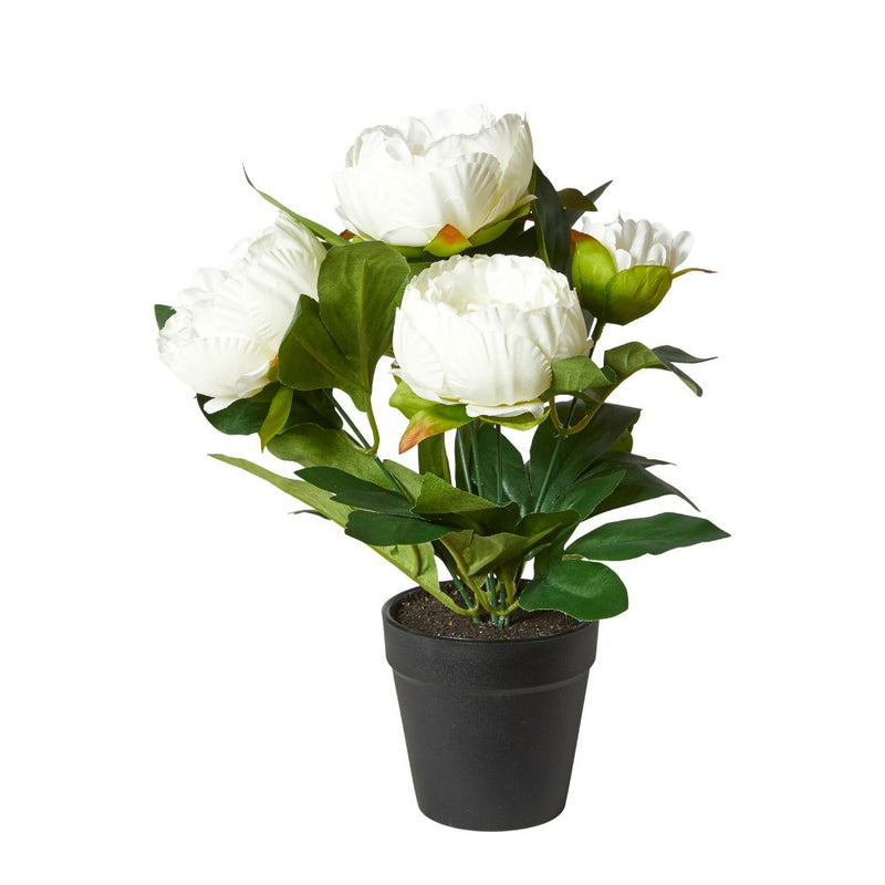 Pion i kruka 31 cm polyester/plast vit