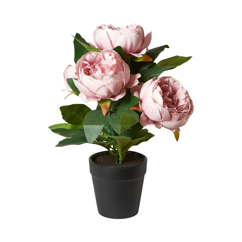 Pæon i potte 31 cm polyester/plast rosa