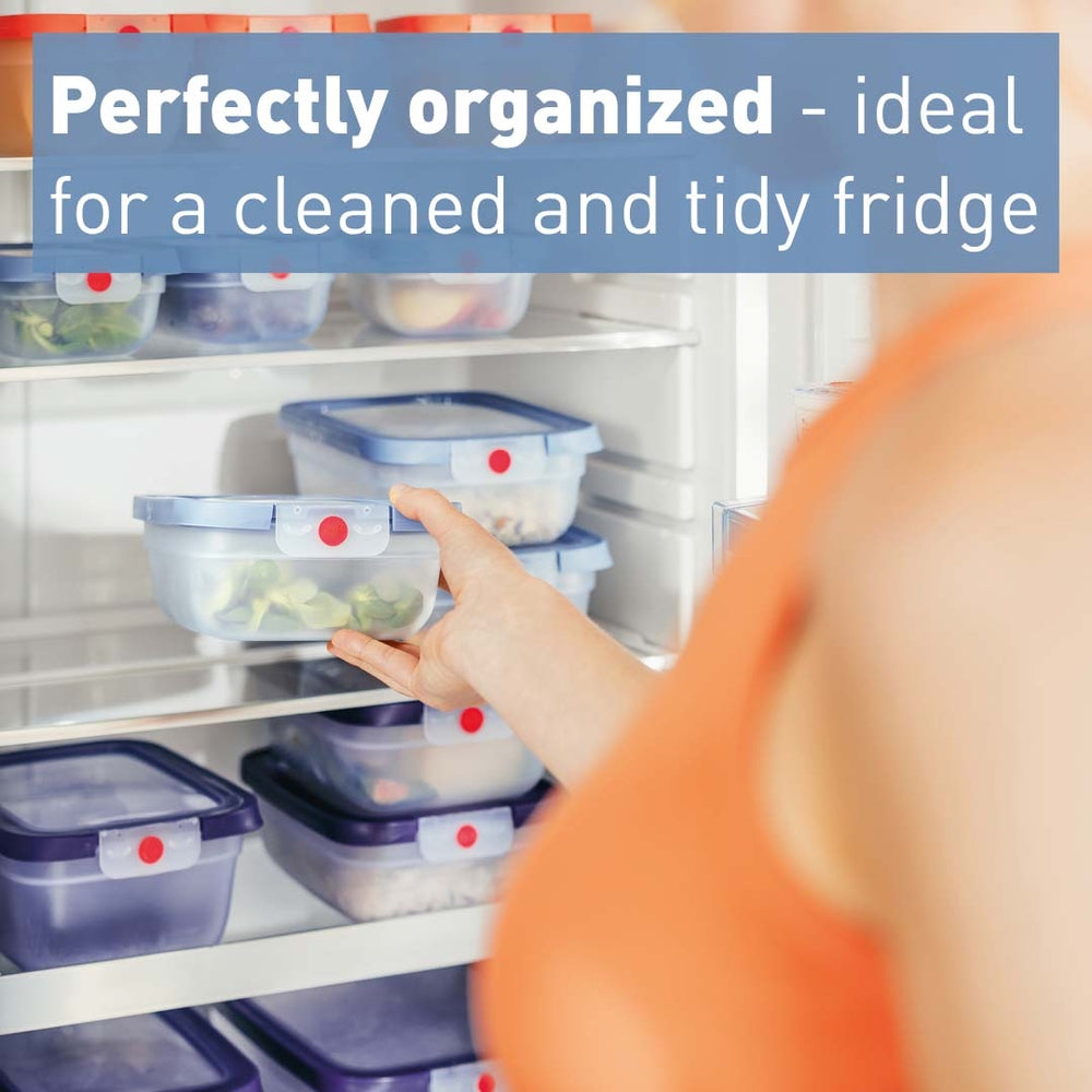 Tefal - OneClick Fresh box 3 L Blue
