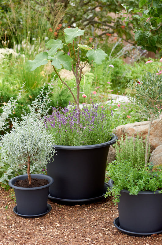 Orthex - Botanica Pflanztopf Ø30 cm Recyceltes Schwarz