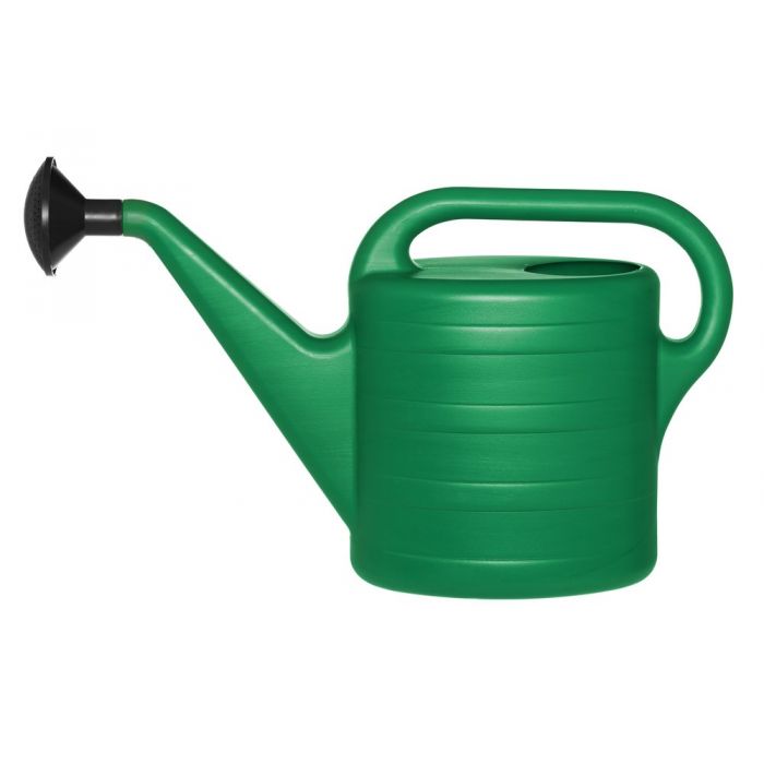 Gießkanne – 10 l, grün, mit Sprühkopf