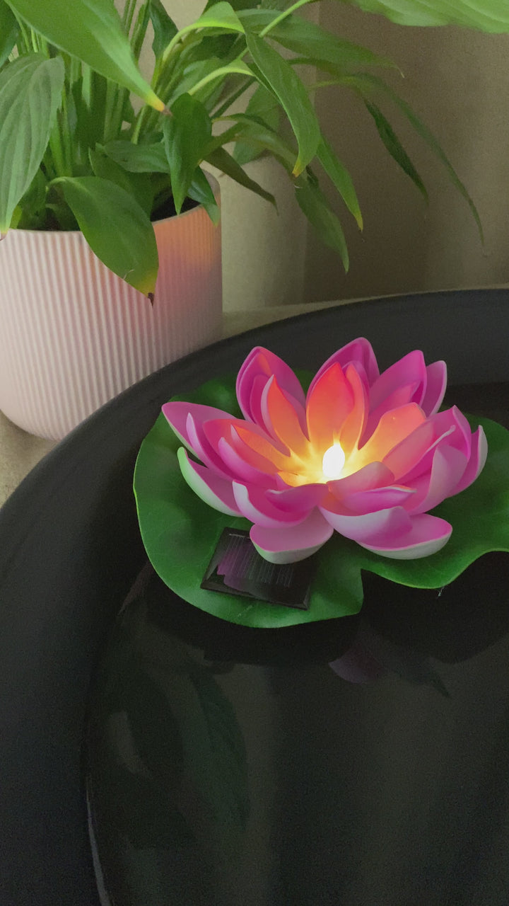 Conzept - Solar lotusblomst Ø17 cm pink 2 stk.