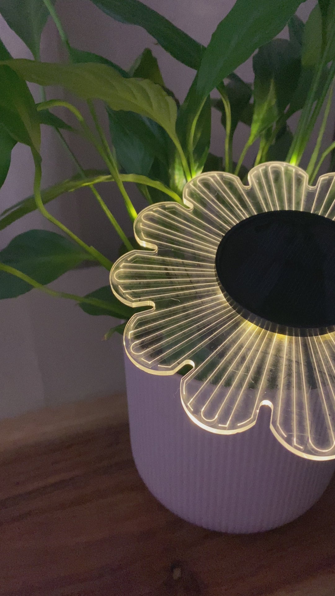 Conzept - Solar lampe til væg eller jord Ø15x2,8x14 cm 12 LED