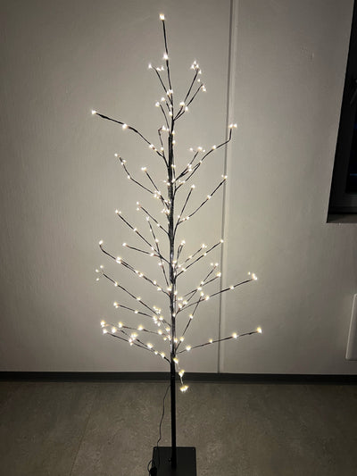 Conzept Christmas - Trådtræ 240 LED H120 cm med IP44 adapter