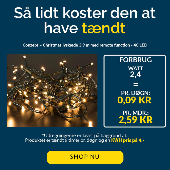 Conzept - Christmas Lyskæde Varm hvid med remote function - 40 LED