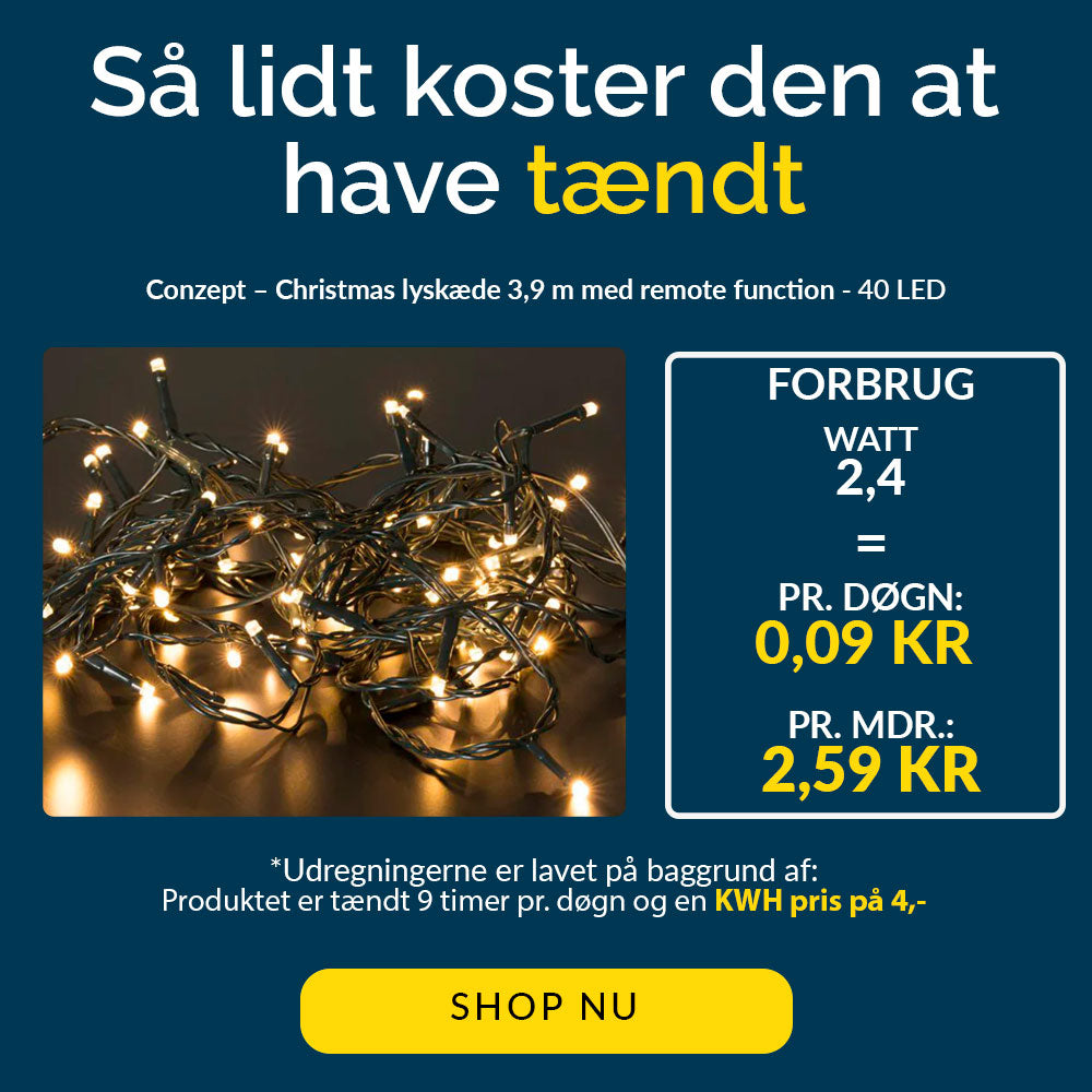 Conzept - Christmas Lyskæde Varm hvid med remote function - 40 LED