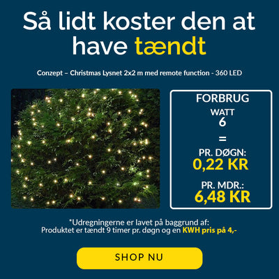 Conzept Christmas - Ljusnät 2x2 m 360 LED varmvit - med fjärrfunktion